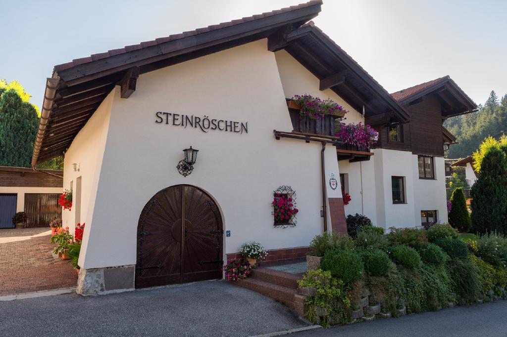 Haus Steinroeschen Apartment เซเฟลด์ อิน ทิโรล ภายนอก รูปภาพ